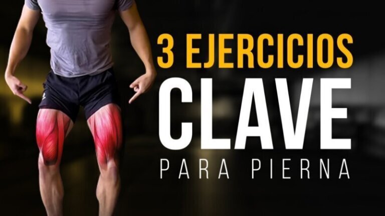 Los mejores ejercicios para piernas