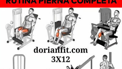Rutina completa de piernas en el gimnasio