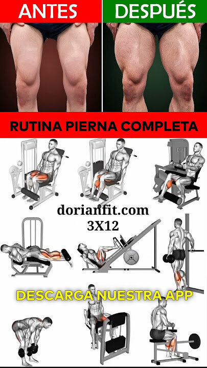 Rutina completa de piernas en el gimnasio