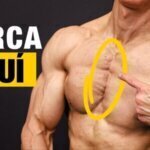 Pecho definido: guía completa