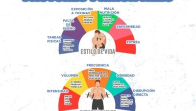La relación entre recuperación y crecimiento muscular