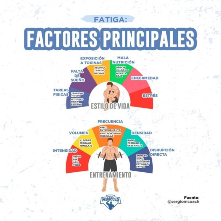 La relación entre recuperación y crecimiento muscular