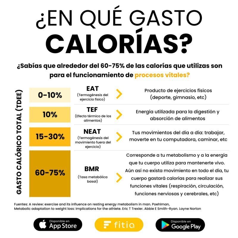 Cuánto tiempo mantener un déficit calórico