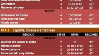 Entrenamiento de brazos para hipertrofia