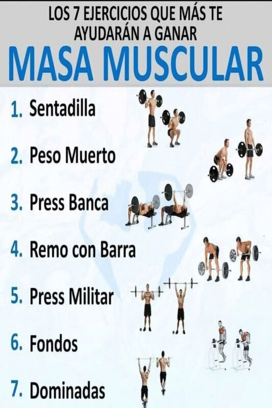 Los mejores ejercicios para ganar masa muscular