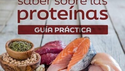 Guía completa sobre proteínas