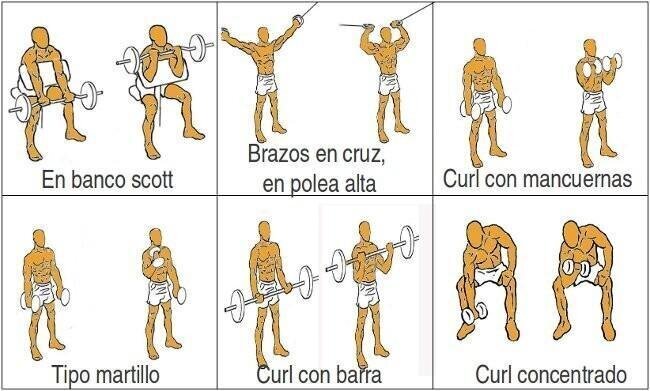 Los mejores ejercicios para bíceps