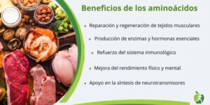 Qué son los aminoácidos y para qué sirven
