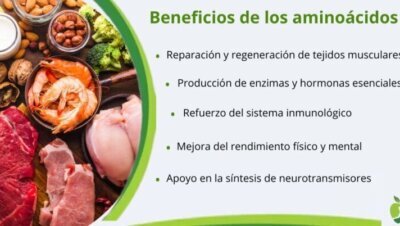Qué son los aminoácidos y para qué sirven