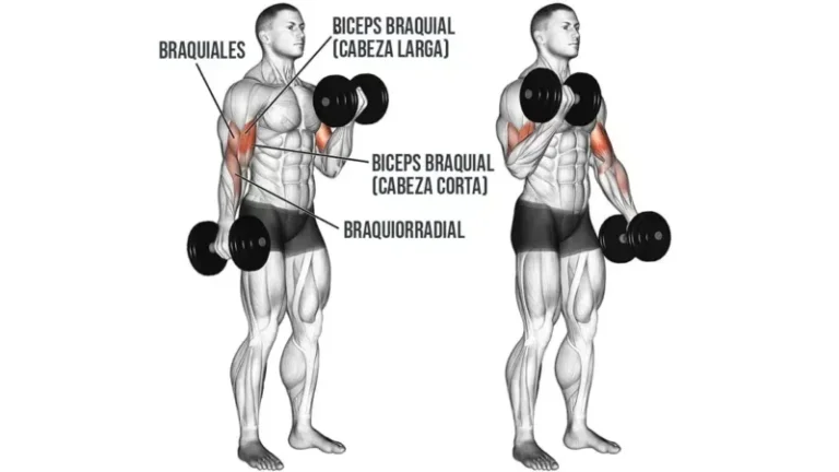 Curl de bíceps: técnica correcta