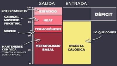 Déficit calórico y definición muscular