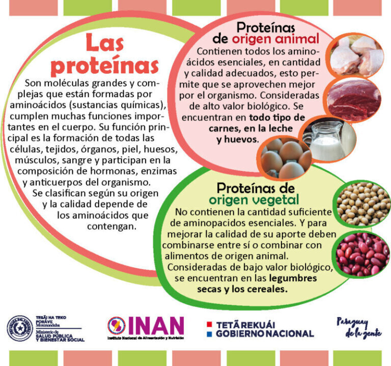 Qué son las proteínas y para qué sirven