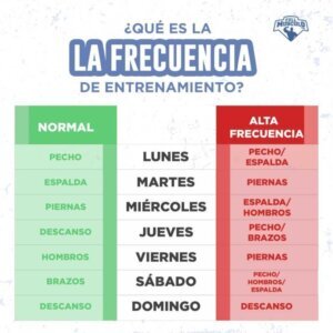 Frecuencia ideal para entrenar fuerza