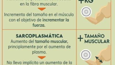 Qué es la hipertrofia muscular y cómo conseguirla