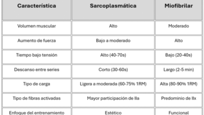 Hipertrofia sarcoplasmática vs miofibrilar