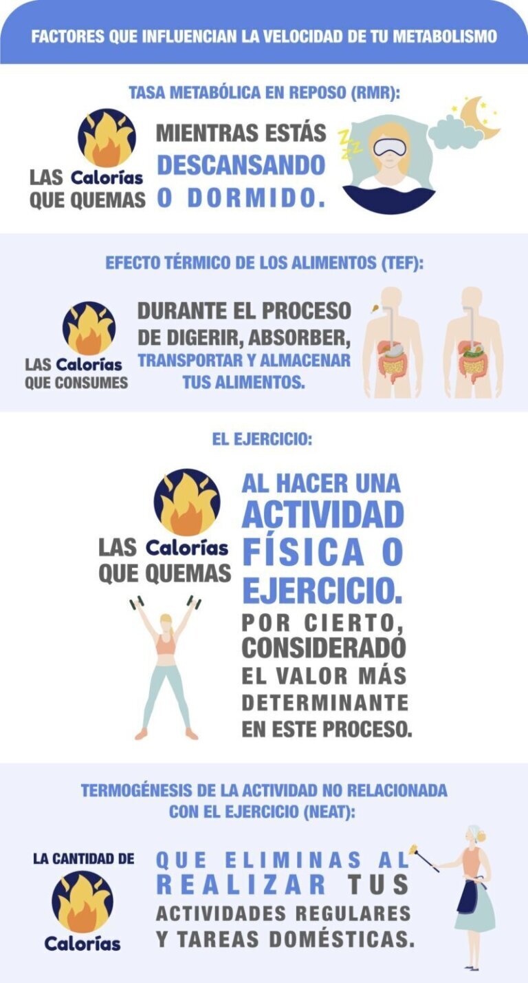 Calorías y metabolismo: todo lo que debes saber