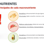 Cómo adaptar los macronutrientes a tus objetivos