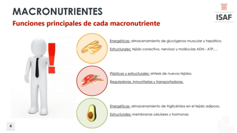 Cómo adaptar los macronutrientes a tus objetivos