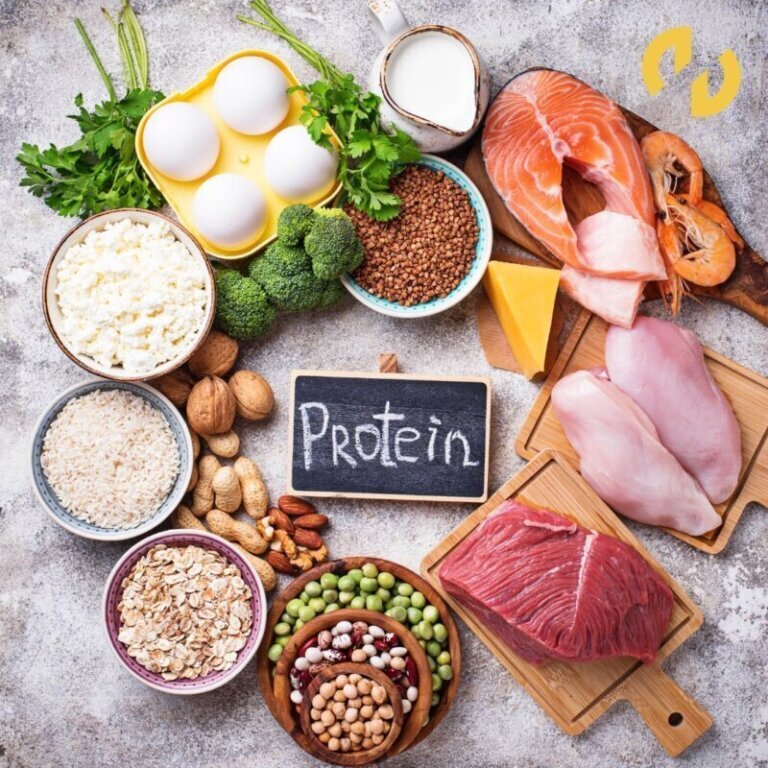 Proteínas y recuperación muscular