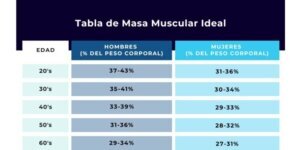 Masa muscular en hombres y mujeres