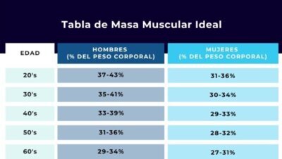 Masa muscular en hombres y mujeres