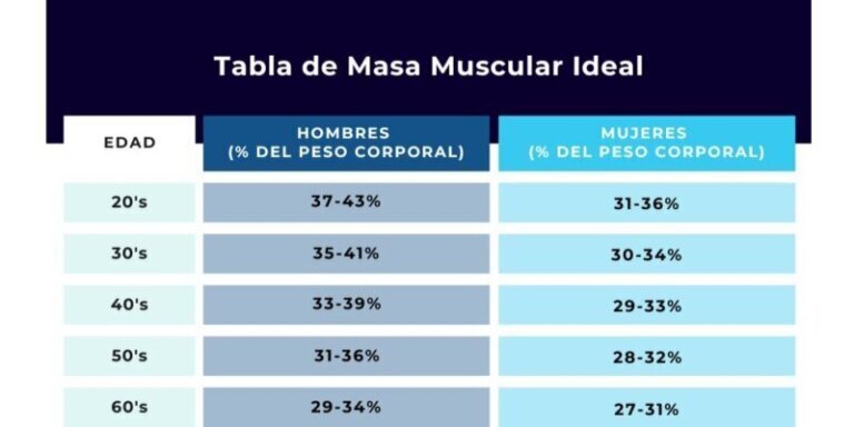 Masa muscular en hombres y mujeres