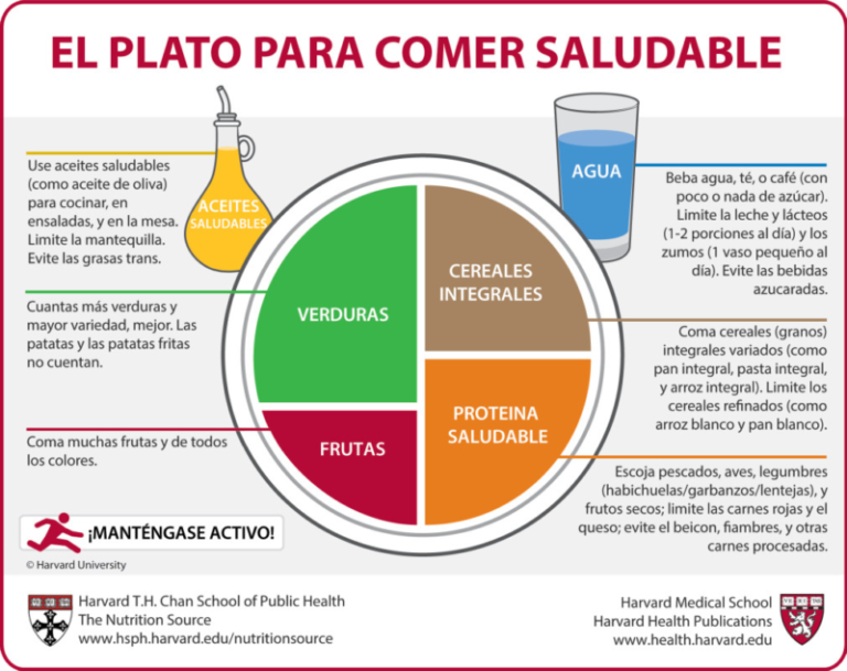 Cómo mejorar tu alimentación con los macronutrientes