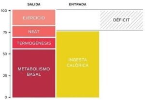 Déficit moderado o agresivo: diferencias