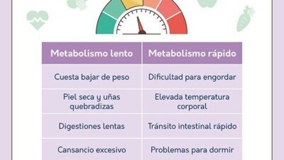 Metabolismo lento: causas y soluciones