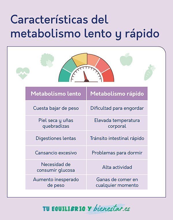 Metabolismo lento: causas y soluciones