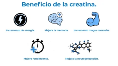 Beneficios de la creatina para ganar fuerza