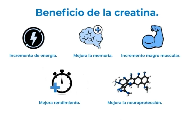 Beneficios de la creatina para ganar fuerza