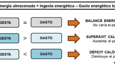 Cómo mantener la masa muscular en déficit