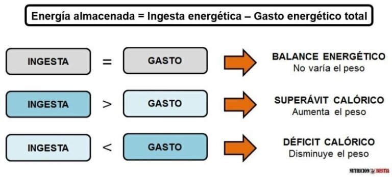 Cómo mantener la masa muscular en déficit