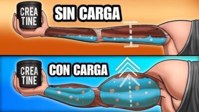 ¿Es necesario hacer fase de carga con creatina?