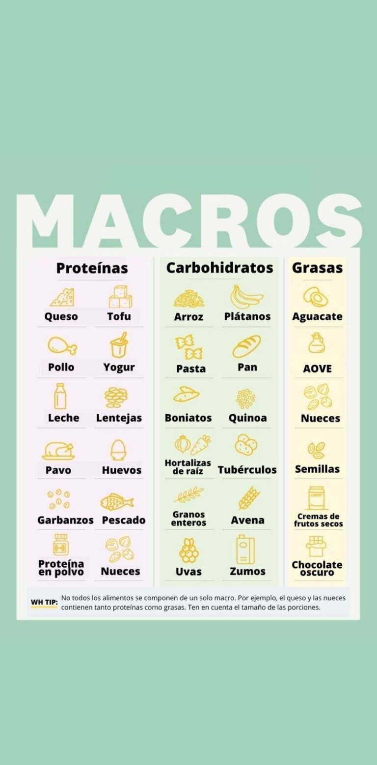 Macronutrientes para principiantes