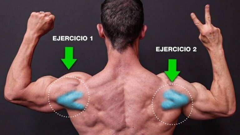 Deltoides posteriores: cómo entrenarlos