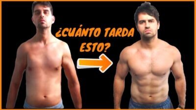 Cuánto tiempo se tarda en ganar músculo
