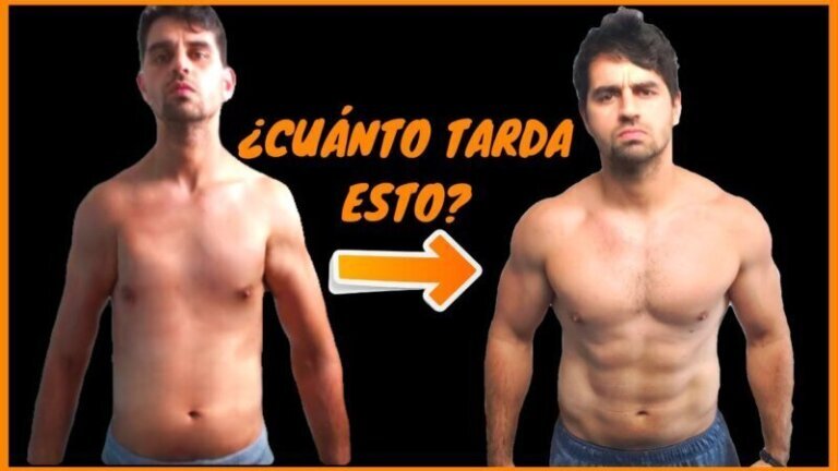 Cuánto tiempo se tarda en ganar músculo