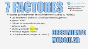 Factores que influyen en el crecimiento muscular
