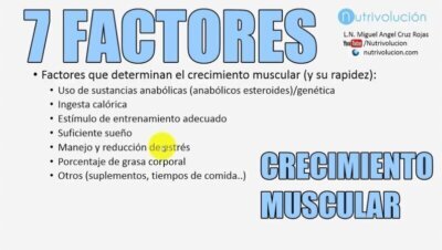 Factores que influyen en el crecimiento muscular