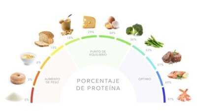 Cómo elegir alimentos ricos en proteínas