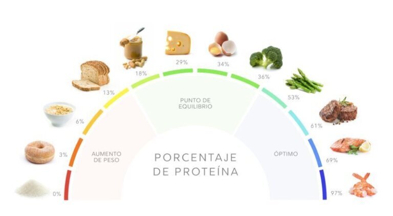 Cómo elegir alimentos ricos en proteínas