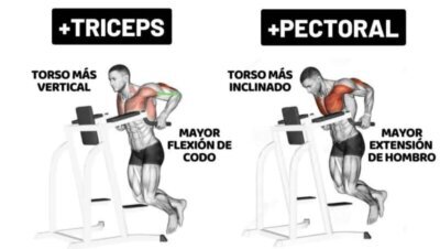 Beneficios de los fondos para pecho y tríceps