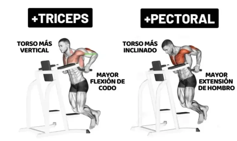 Fondos para tríceps: guía completa