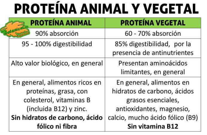 Proteínas animales vs proteínas vegetales