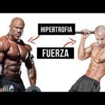 Diferencias entre fuerza e hipertrofia