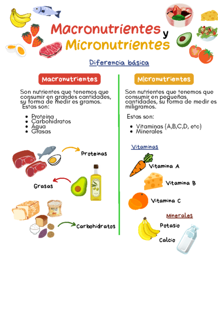 Diferencias entre macronutrientes y micronutrientes